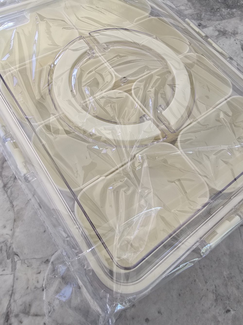 BNIP Clear "Snacklebox" Portable Snack Box w Compartments